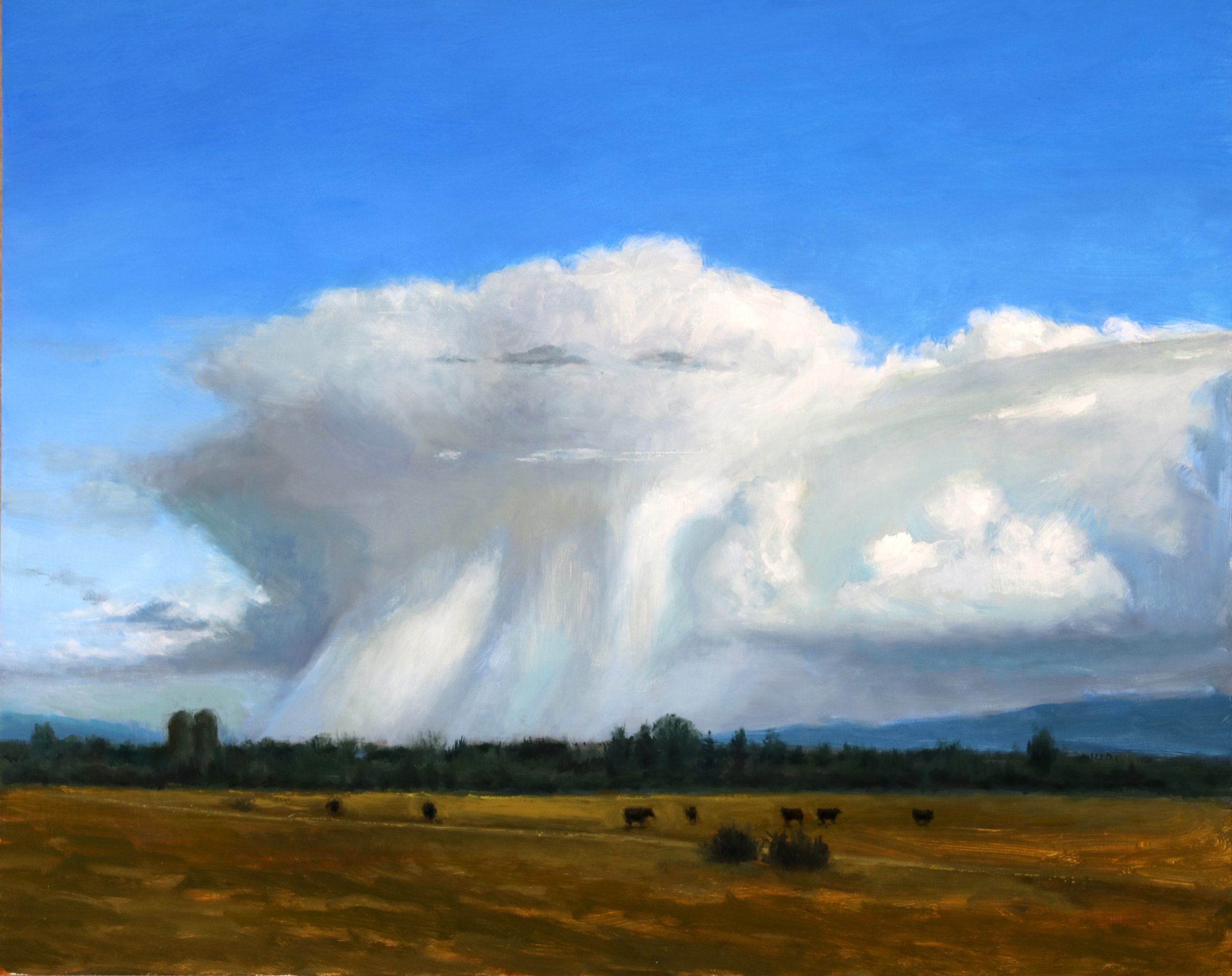 "Rain Cloud" 16x20 Oil/Board