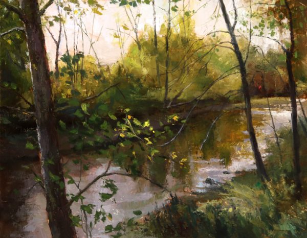 Sunlit River