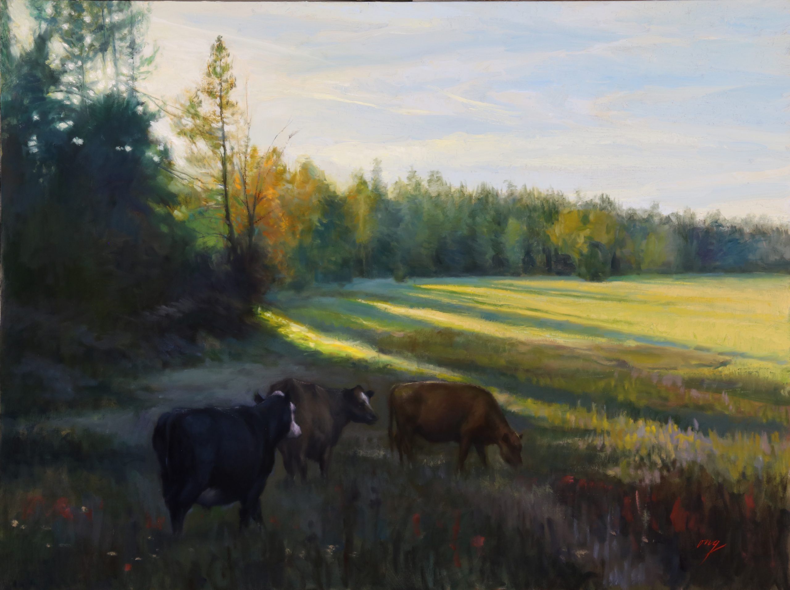 "Morning Shadows" 30x40 Oil/Board