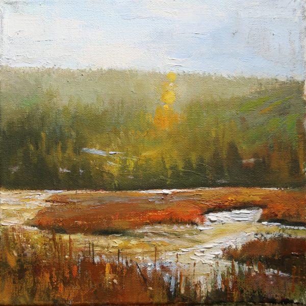 Sunlit Marsh