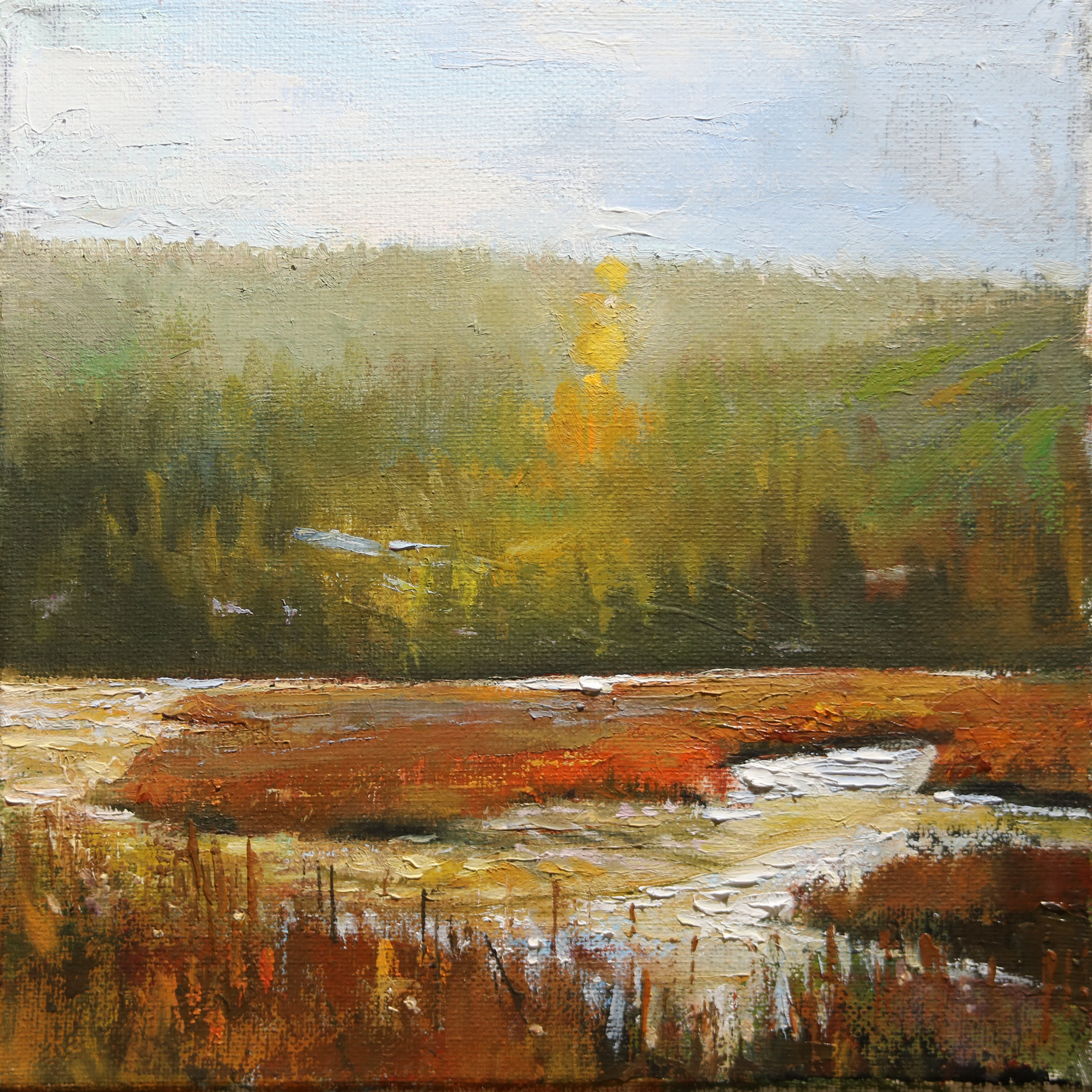 "Sunlit Marsh" 8x8 Oil/Board